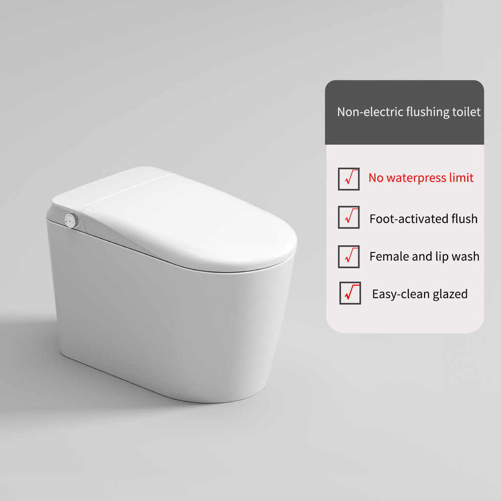 Junsui Japanese Style Toilet & Bidet (Non-Electic)