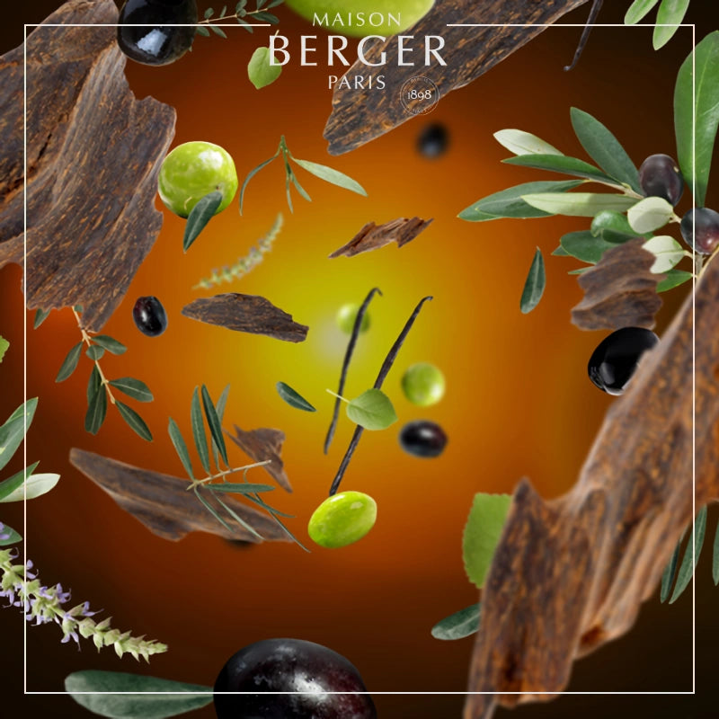Under the Olive Tree Lamp Refill - Maison Berger Paris