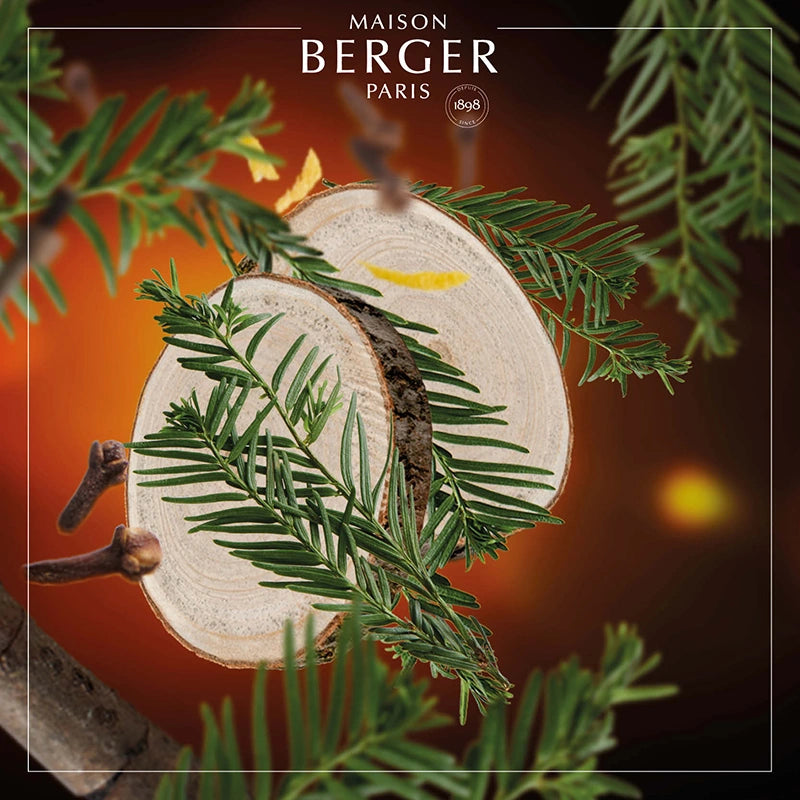 Virginia Cedarwood Lamp Refill - Maison Berger Paris