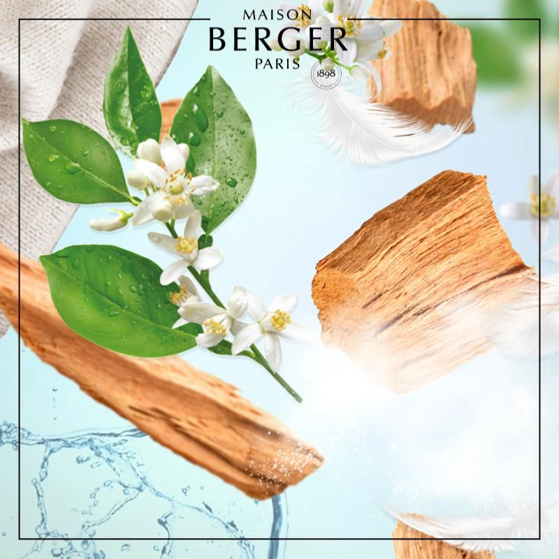 White Cashmere Clear Cube Scented Bouquet