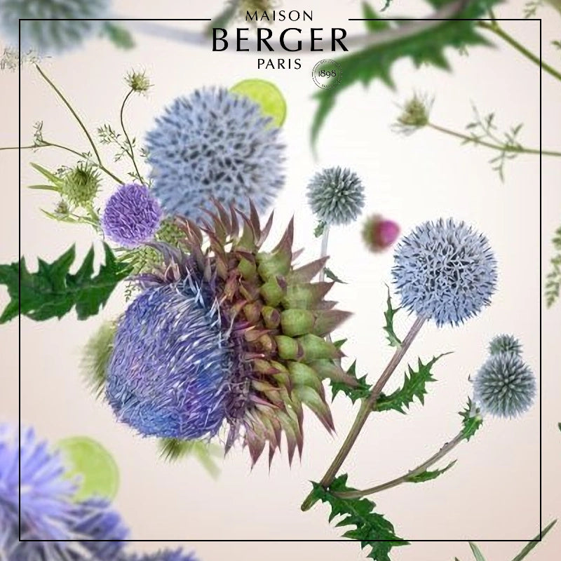 Wild Flowers Lamp Refill - Maison Berger Paris