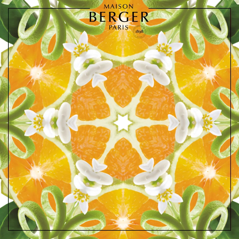 Zest of Green Orange Lamp Refill - Maison Berger Paris